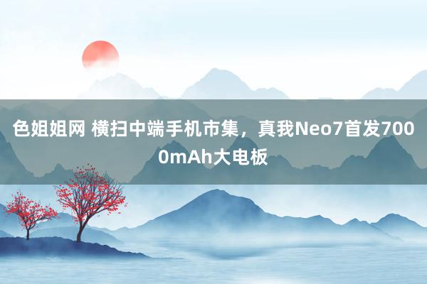 色姐姐网 横扫中端手机市集，真我Neo7首发7000mAh大电板