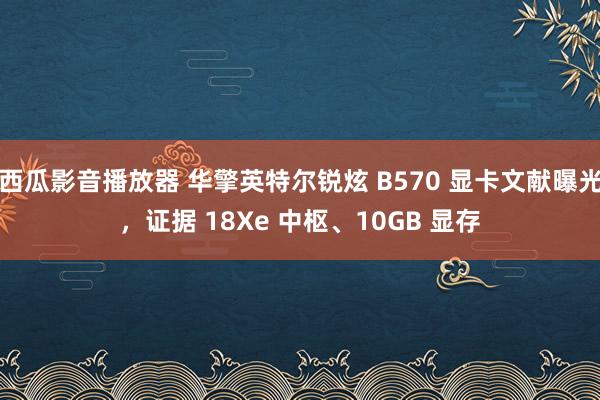 西瓜影音播放器 华擎英特尔锐炫 B570 显卡文献曝光，证据 18Xe 中枢、10GB 显存