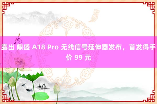 露出 鼎盛 A18 Pro 无线信号延伸器发布，首发得手价 99 元