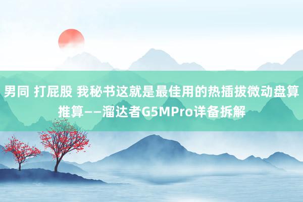 男同 打屁股 我秘书这就是最佳用的热插拔微动盘算推算——溜达者G5MPro详备拆解