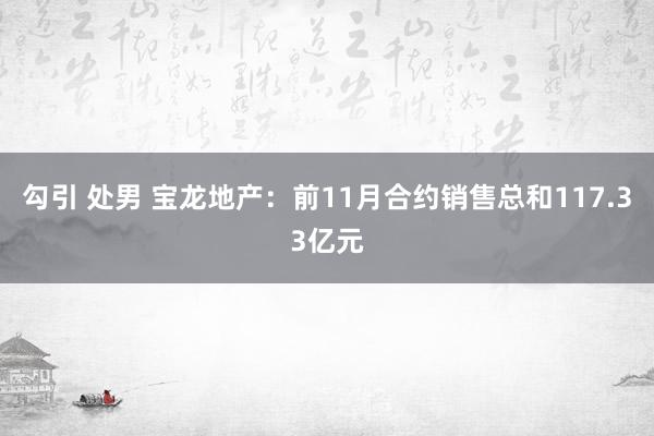 勾引 处男 宝龙地产：前11月合约销售总和117.33亿元