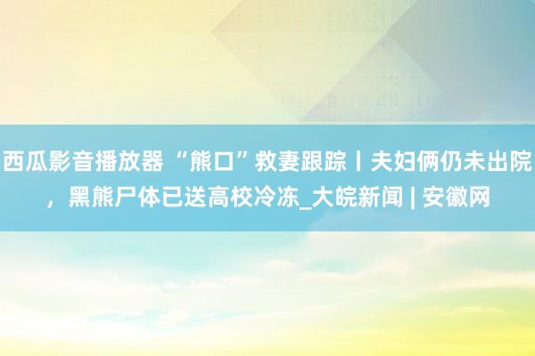 西瓜影音播放器 “熊口”救妻跟踪丨夫妇俩仍未出院，黑熊尸体已送高校冷冻_大皖新闻 | 安徽网