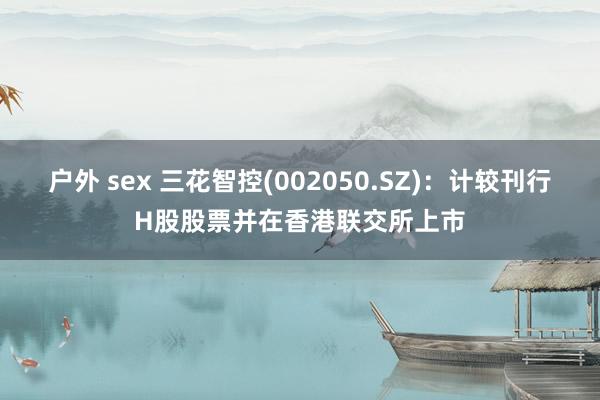 户外 sex 三花智控(002050.SZ)：计较刊行H股股票并在香港联交所上市