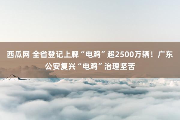 西瓜网 全省登记上牌“电鸡”超2500万辆！广东公安复兴“电鸡”治理坚苦