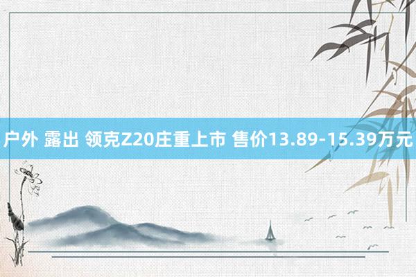 户外 露出 领克Z20庄重上市 售价13.89-15.39万元