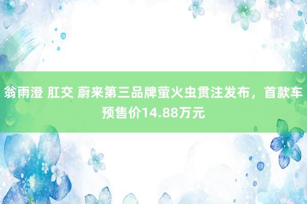 翁雨澄 肛交 蔚来第三品牌萤火虫贯注发布，首款车预售价14.88万元