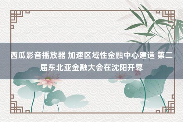 西瓜影音播放器 加速区域性金融中心建造 第二届东北亚金融大会在沈阳开幕