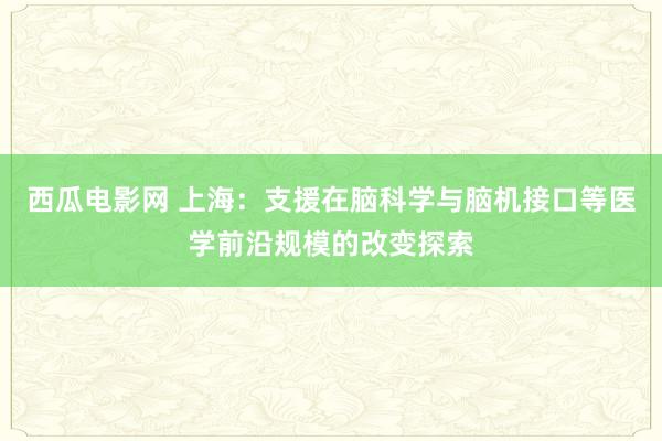 西瓜电影网 上海：支援在脑科学与脑机接口等医学前沿规模的改变探索