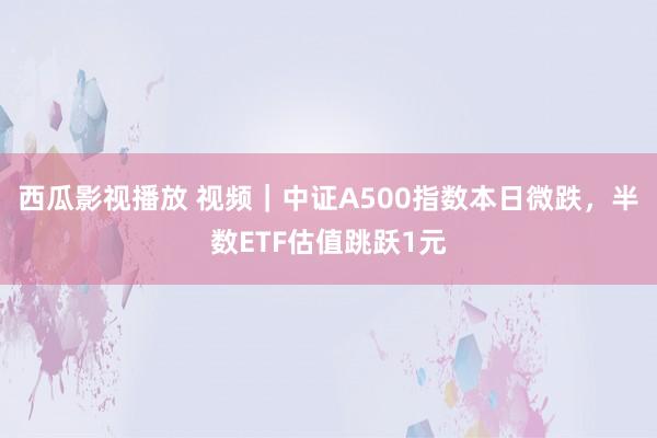 西瓜影视播放 视频｜中证A500指数本日微跌，半数ETF估值跳跃1元