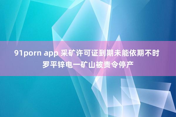 91porn app 采矿许可证到期未能依期不时 罗平锌电一矿山被责令停产