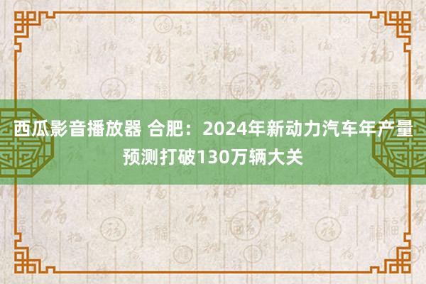 西瓜影音播放器 合肥：2024年新动力汽车年产量预测打破130万辆大关