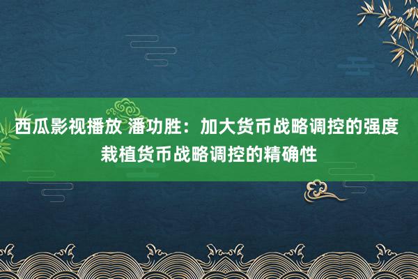 西瓜影视播放 潘功胜：加大货币战略调控的强度 栽植货币战略调控的精确性