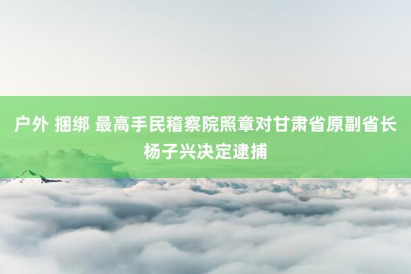 户外 捆绑 最高手民稽察院照章对甘肃省原副省长杨子兴决定逮捕