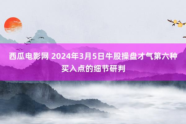 西瓜电影网 2024年3月5日牛股操盘才气第六种买入点的细节研判