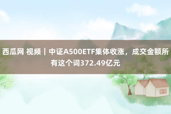 西瓜网 视频｜中证A500ETF集体收涨，成交金额所有这个词372.49亿元