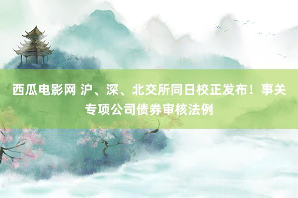 西瓜电影网 沪、深、北交所同日校正发布！事关专项公司债券审核法例