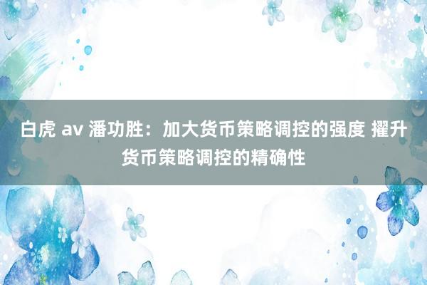 白虎 av 潘功胜：加大货币策略调控的强度 擢升货币策略调控的精确性