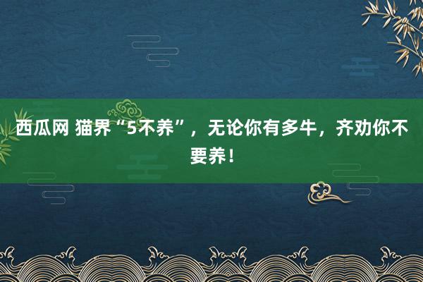 西瓜网 猫界“5不养”，无论你有多牛，齐劝你不要养！