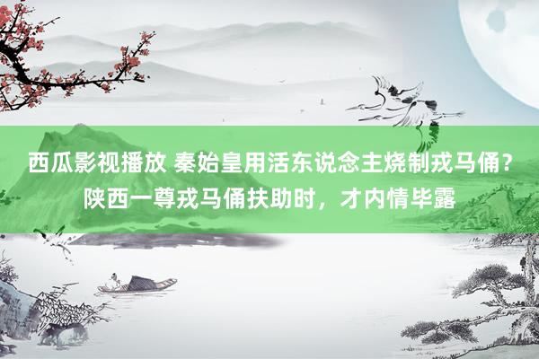 西瓜影视播放 秦始皇用活东说念主烧制戎马俑？陕西一尊戎马俑扶助时，才内情毕露