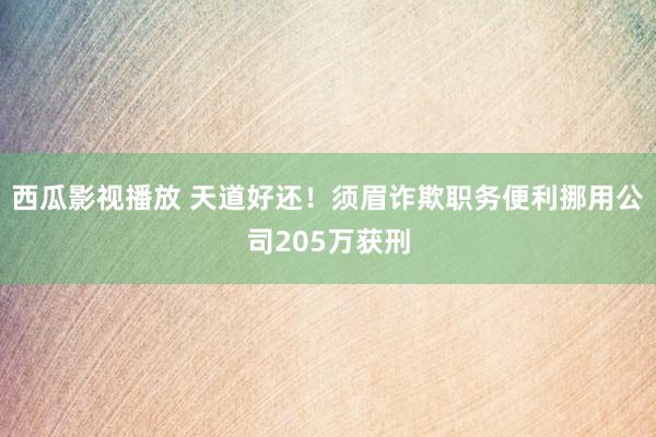 西瓜影视播放 天道好还！须眉诈欺职务便利挪用公司205万获刑