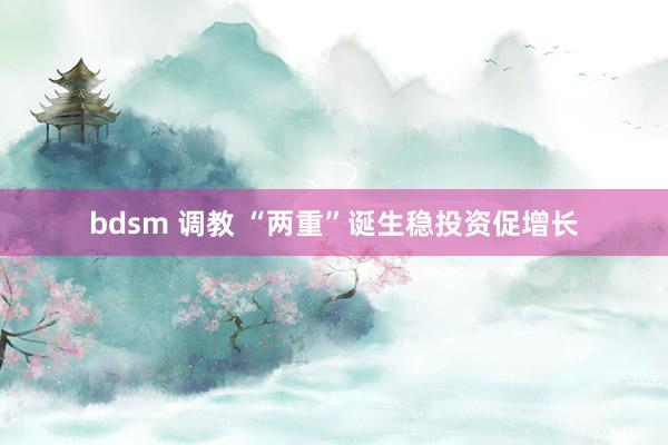 bdsm 调教 “两重”诞生稳投资促增长