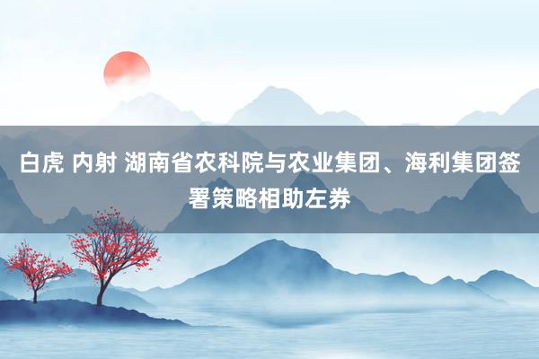 白虎 内射 湖南省农科院与农业集团、海利集团签署策略相助左券