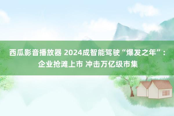 西瓜影音播放器 2024成智能驾驶“爆发之年”： 企业抢滩上市 冲击万亿级市集