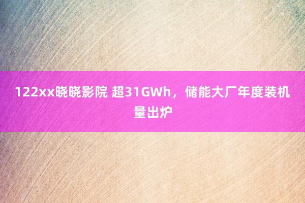 122xx晓晓影院 超31GWh，储能大厂年度装机量出炉