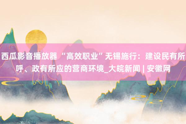 西瓜影音播放器 “高效职业”无锡施行：建设民有所呼、政有所应的营商环境_大皖新闻 | 安徽网