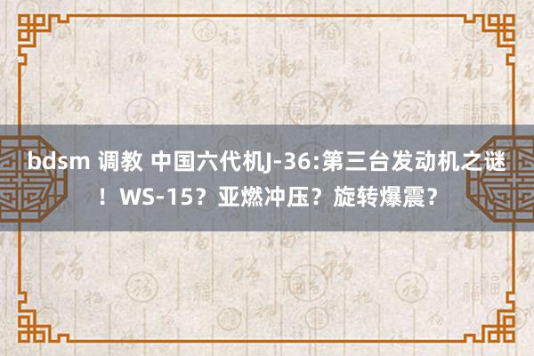 bdsm 调教 中国六代机J-36:第三台发动机之谜！WS-15？亚燃冲压？旋转爆震？