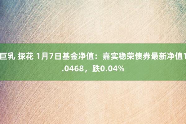 巨乳 探花 1月7日基金净值：嘉实稳荣债券最新净值1.0468，跌0.04%