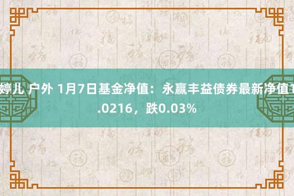 婷儿 户外 1月7日基金净值：永赢丰益债券最新净值1.0216，跌0.03%