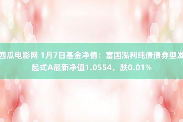 西瓜电影网 1月7日基金净值：富国泓利纯债债券型发起式A最新净值1.0554，跌0.01%