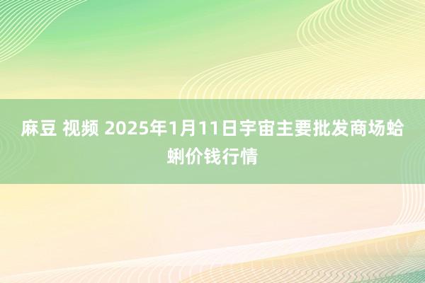 麻豆 视频 2025年1月11日宇宙主要批发商场蛤蜊价钱行情