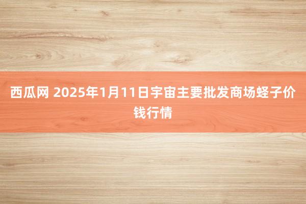 西瓜网 2025年1月11日宇宙主要批发商场蛏子价钱行情