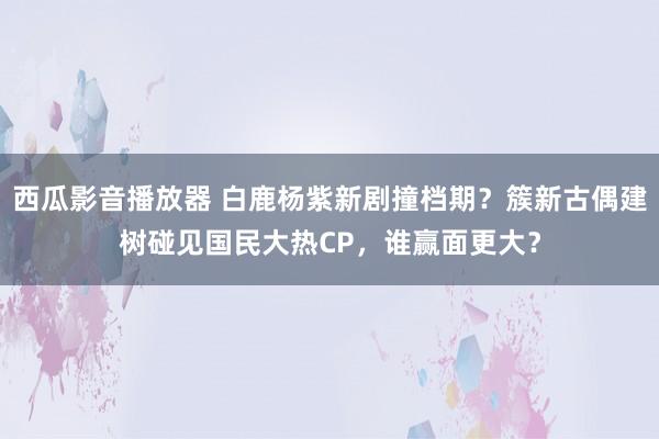 西瓜影音播放器 白鹿杨紫新剧撞档期？簇新古偶建树碰见国民大热CP，谁赢面更大？