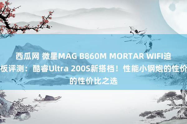 西瓜网 微星MAG B860M MORTAR WIFI迫击炮主板评测：酷睿Ultra 200S新搭档！性能小钢炮的性价比之选